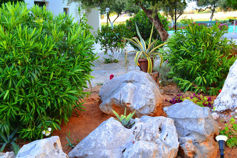 Amnissos Hotel Pigianos Kampos  ภายนอก รูปภาพ