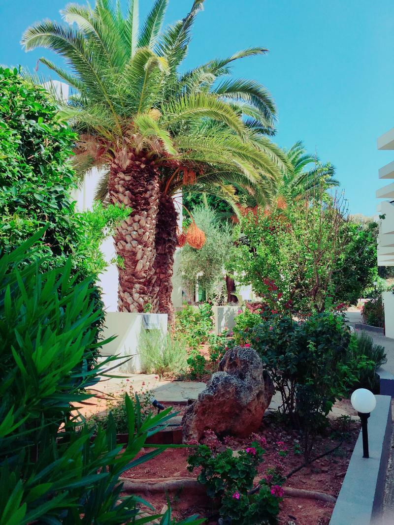 Amnissos Hotel Pigianos Kampos  ภายนอก รูปภาพ